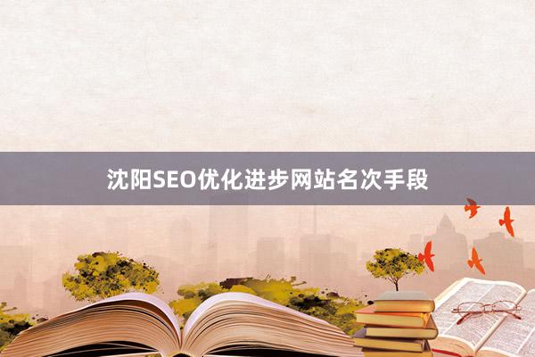 沈阳SEO优化进步网站名次手段